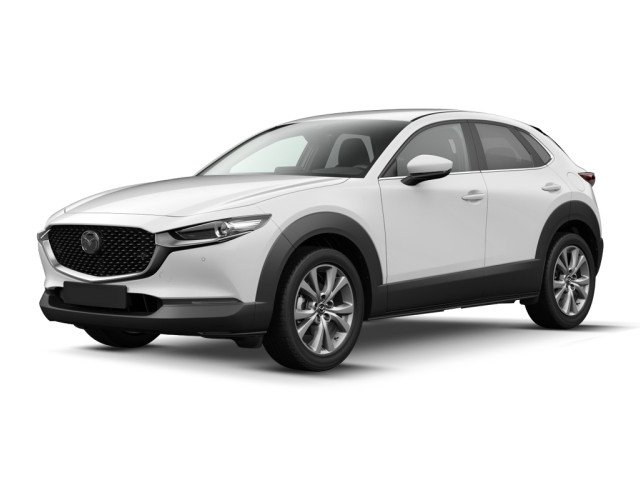 Mazda CX 30 2 0L Skyactiv G 122 Cv M Hybrid Executive Noleggio Lungo